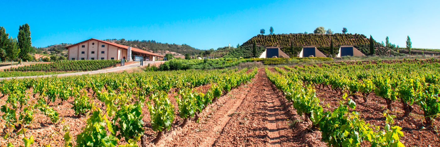 bodegasValduero's profile banner image