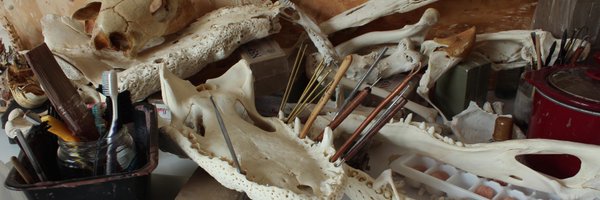 StudioGuinto Profile Banner