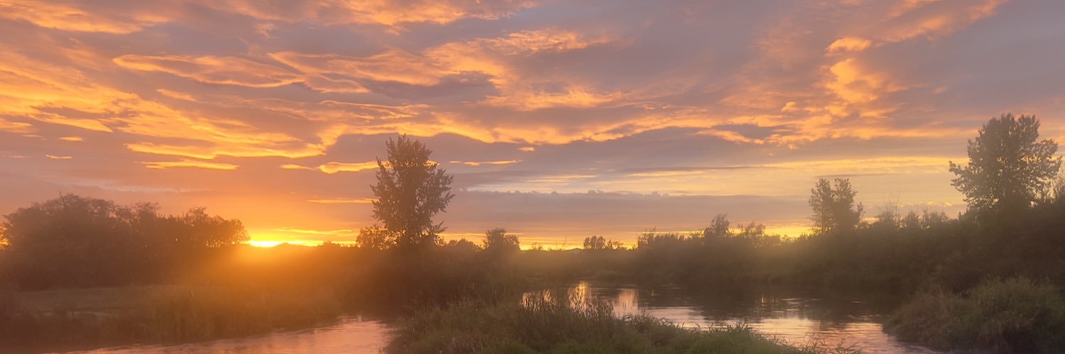 Reed Wasem🇺🇸 🔫 🇸🇻 banner