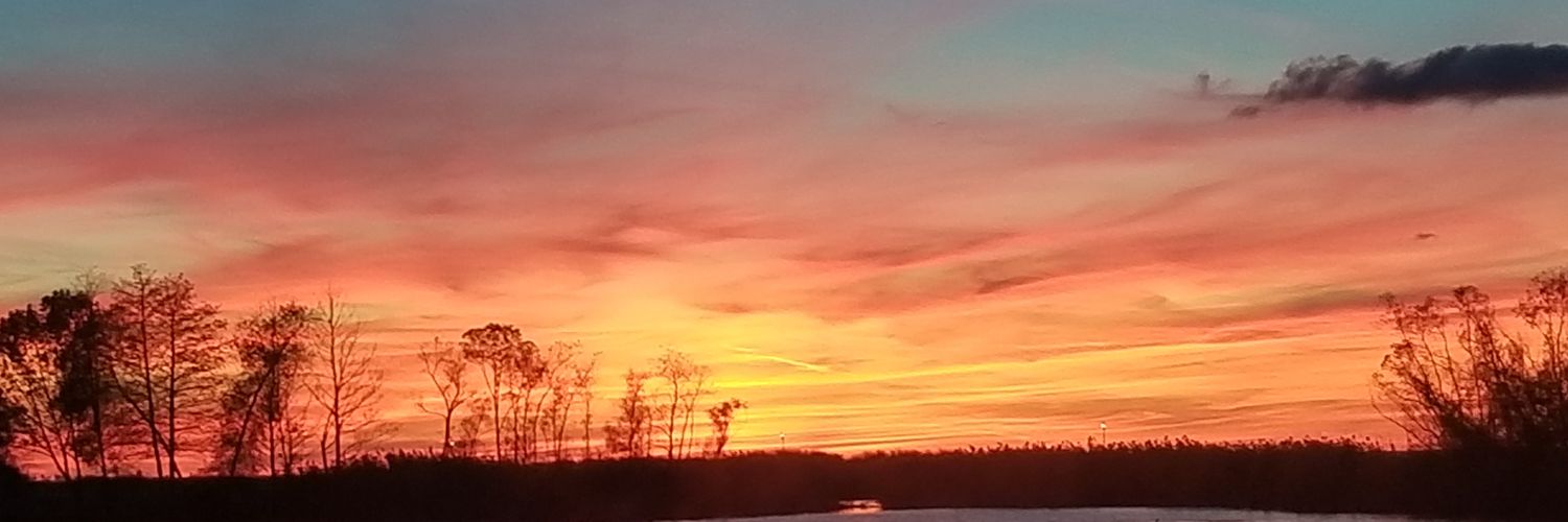 Brenda Kitchen banner