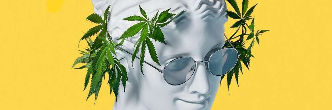 wsbblyy's profile banner image