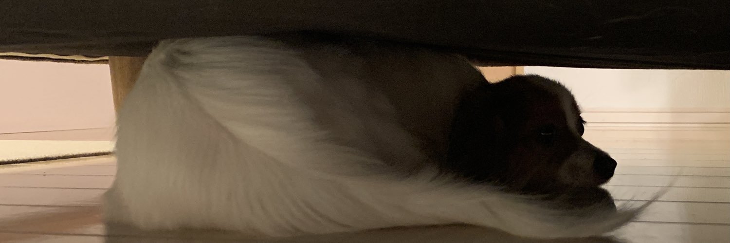 michey1111's profile banner image