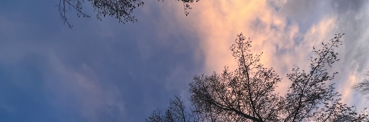 MariMitrani's profile banner image