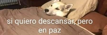 luisgaph's profile banner image