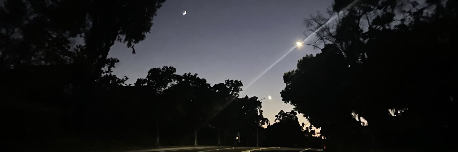 Sammyyleaa's profile banner image