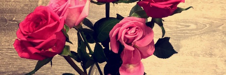 Ashoo008's profile banner image