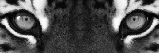 karlaabeltran's profile banner image