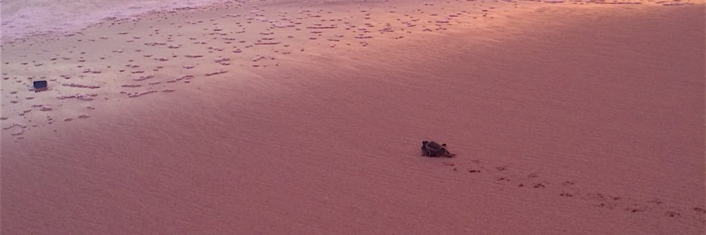 GonzalvesEmma's profile banner image