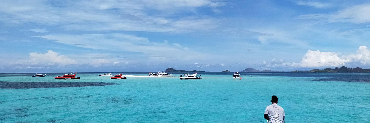 YanAuditor's profile banner image