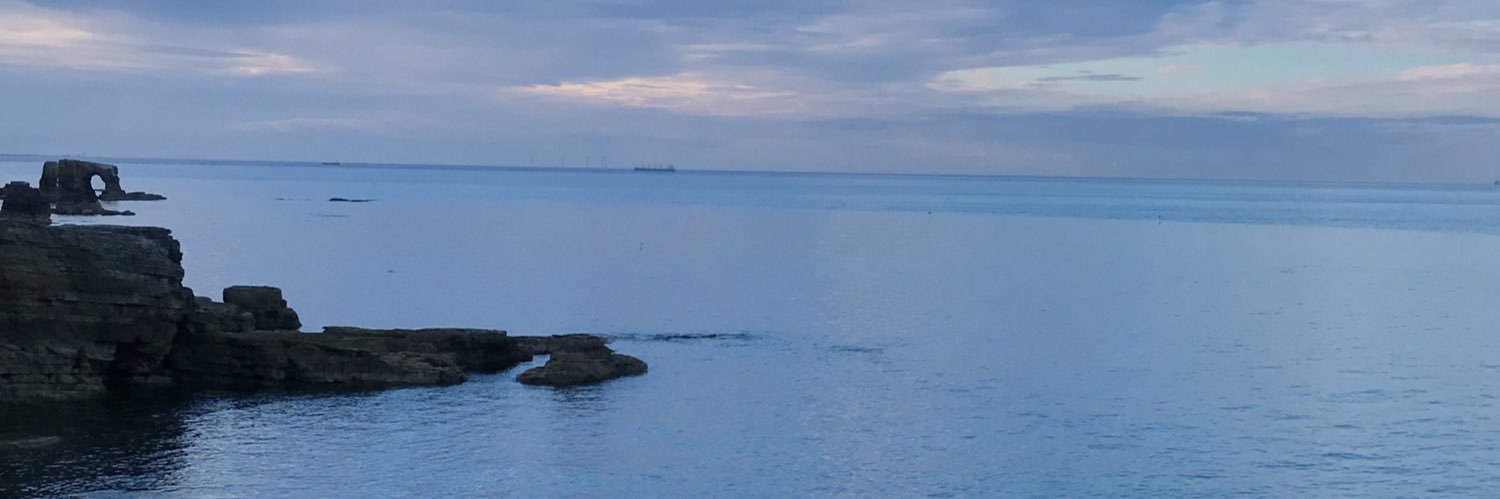 cara_siddons's profile banner image
