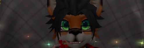 matuszewski18's profile banner image