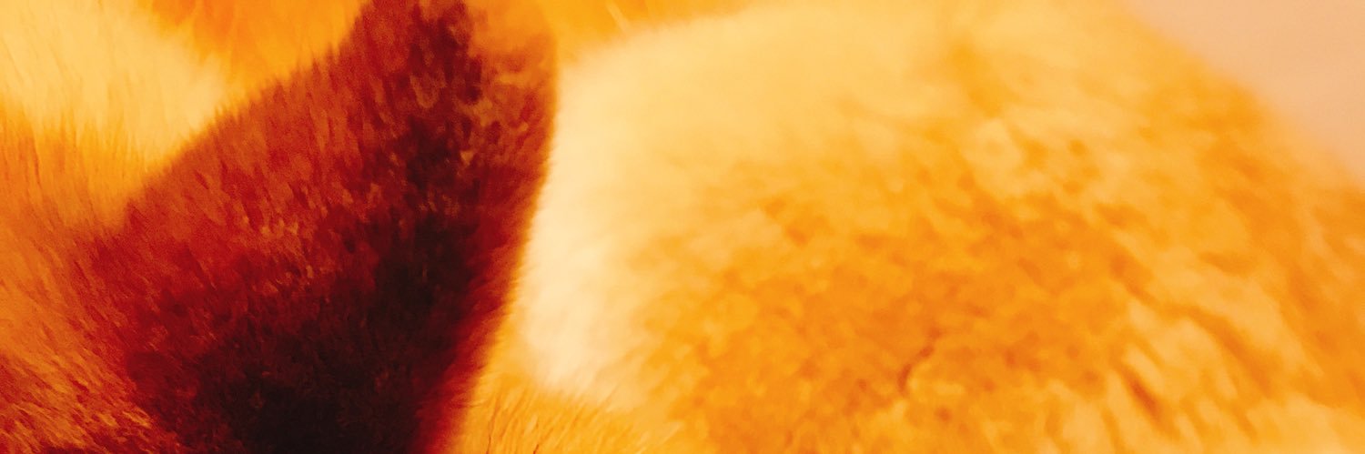 wa_sh11's profile banner image