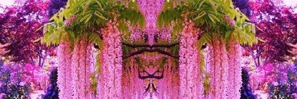 SerdarMermey's profile banner image