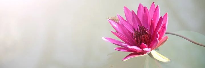 aya_0124_'s profile banner image