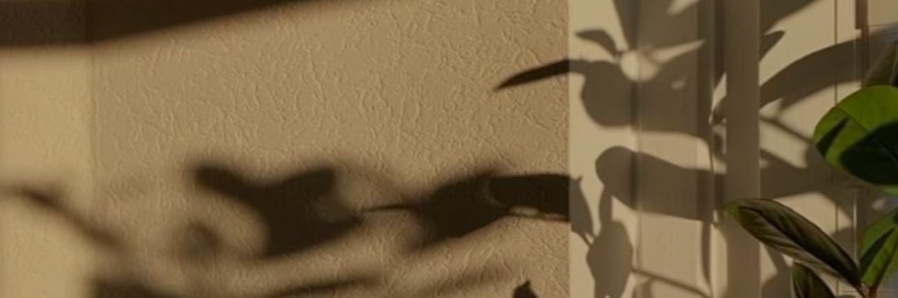 happy_lex's profile banner image