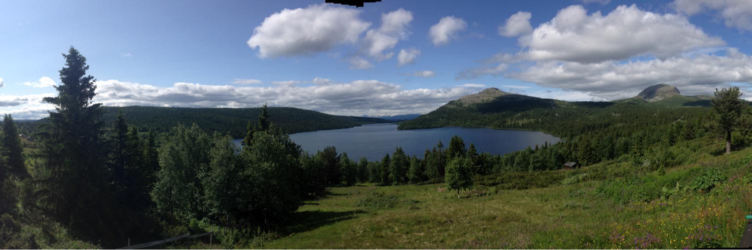 Chester Cunningham banner