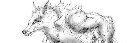 HEATforest's profile banner image