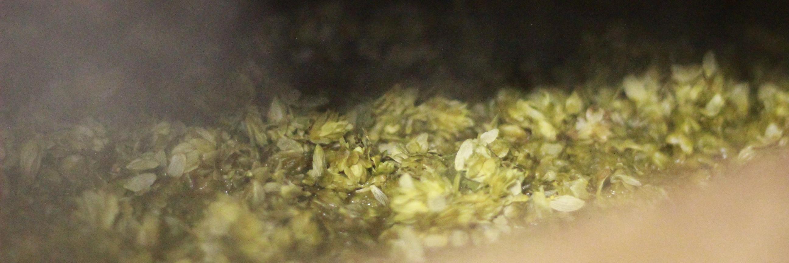BrewedByOud's profile banner image