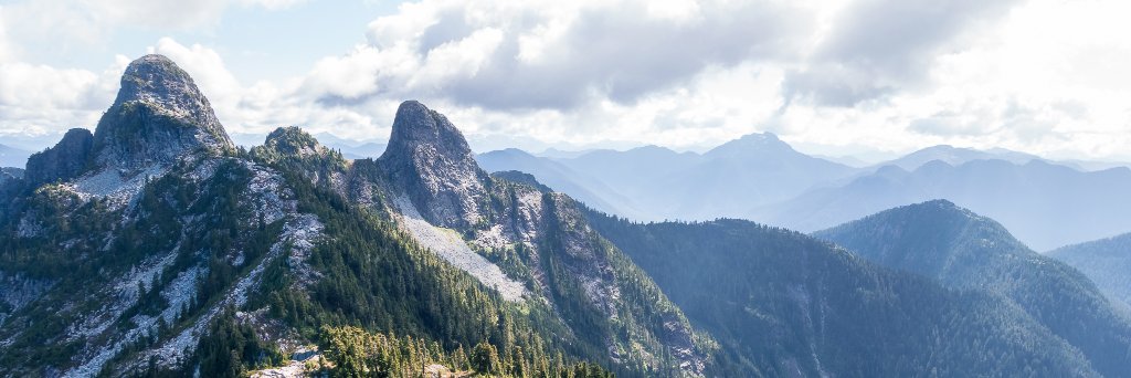 Pacific Coast Scouts banner