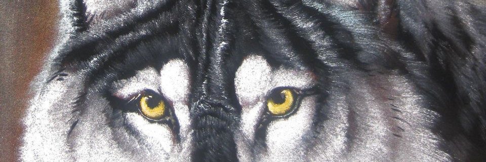 lobogris_'s profile banner image