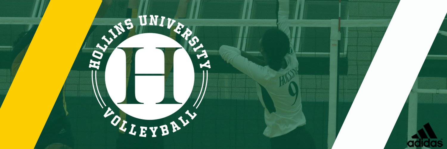 Hollins Volleyball banner