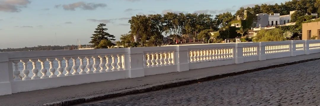 Rossana22gmail1's profile banner image
