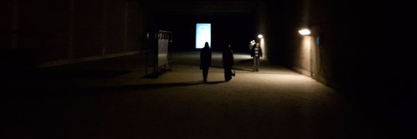 SamVardy Profile Banner