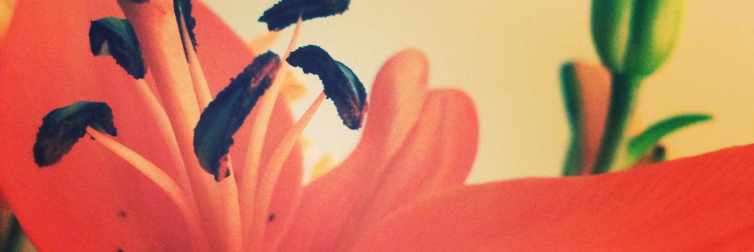 MaleniBela's profile banner image