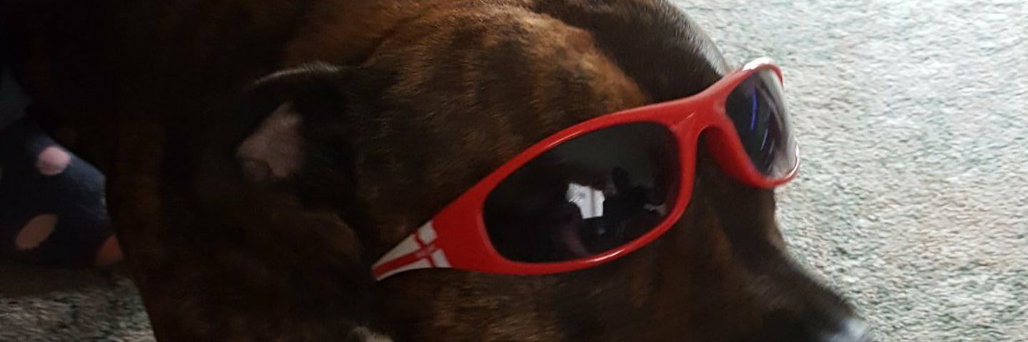 Nogoodbud's profile banner image