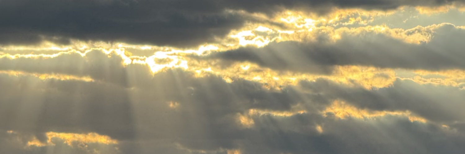 Marcobielssa's profile banner image