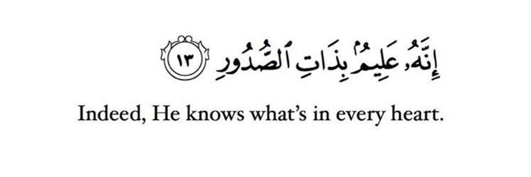 فاهم ومتجاهل banner