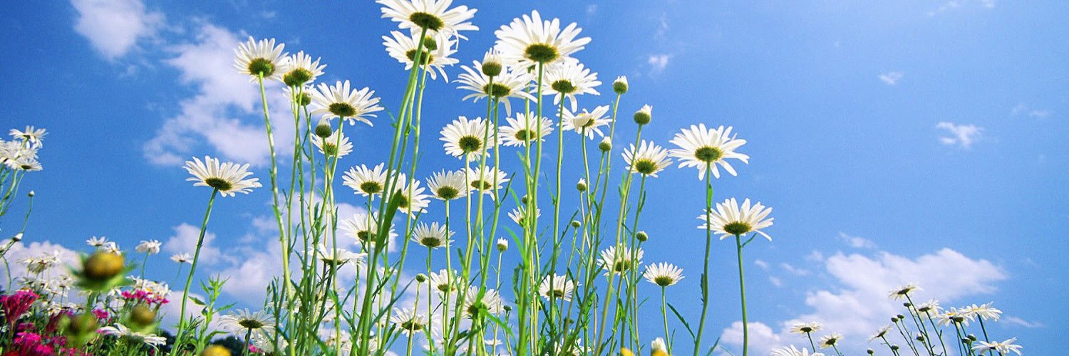 Bloem416's profile banner image