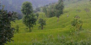 limbe_me's profile banner image
