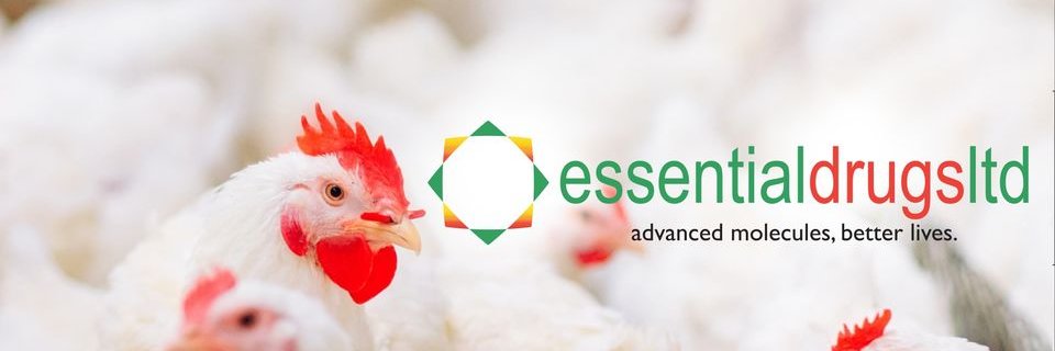 EDLKenya's profile banner image