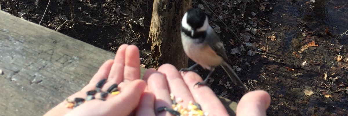 AlanMckinnon's profile banner image