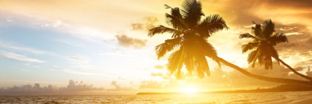 reid008's profile banner image