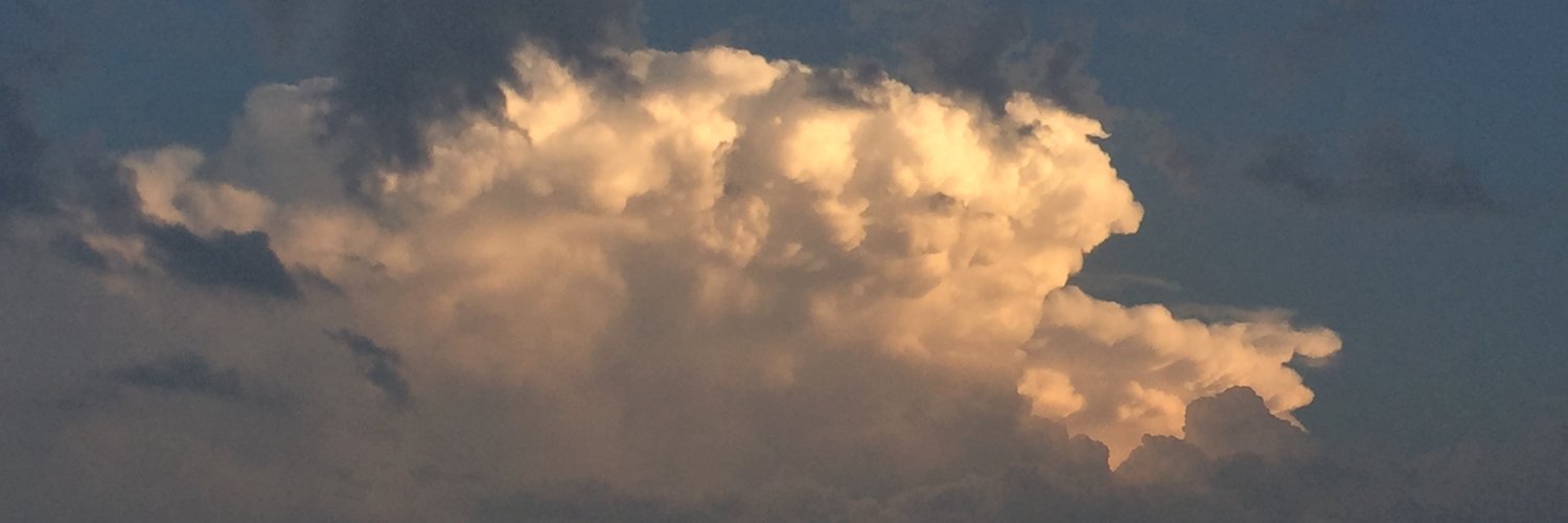 Shawn Munger banner