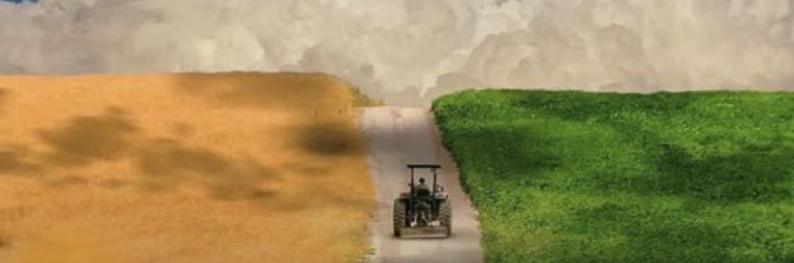 luis_batel's profile banner image