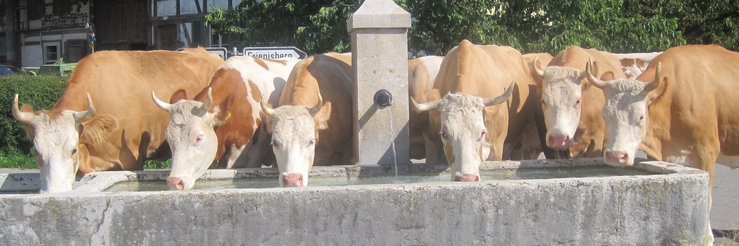 Christian Tüscher banner