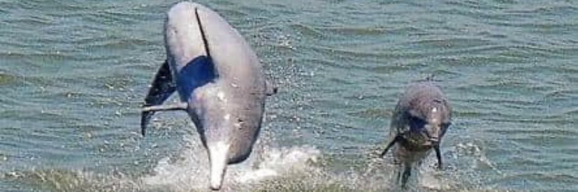 Darshan Khatau banner