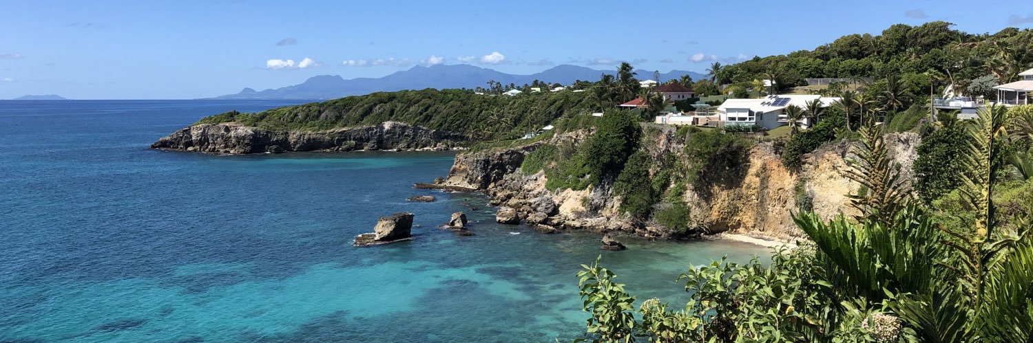 Marie-Josée R.Roy banner