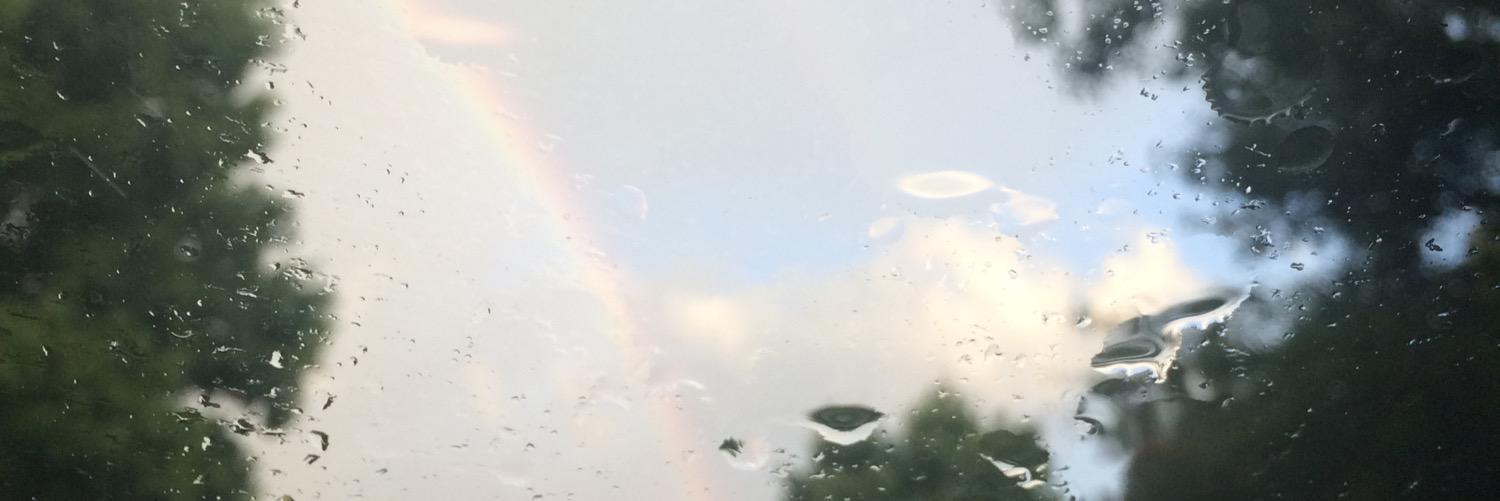 softandunruly's profile banner image