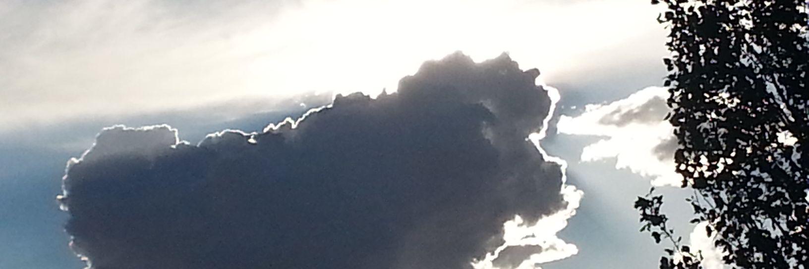 Elotroangel's profile banner image