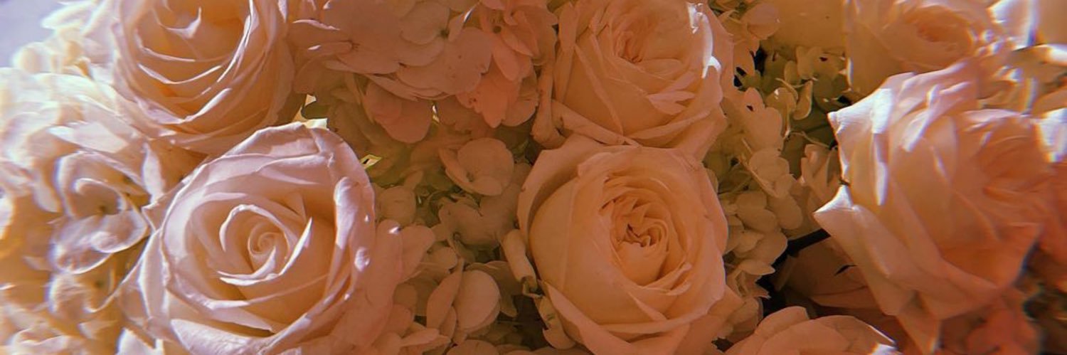 Mayna Nevarez 🏝☀️ banner