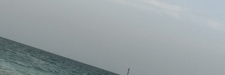 ronyi90's profile banner image