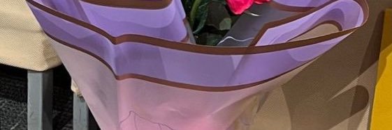 kaley cuoco banner