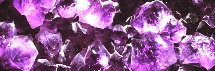 Silvia Burgos banner