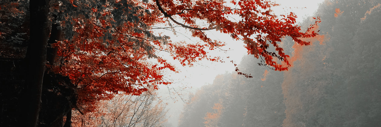 himnaesung's profile banner image