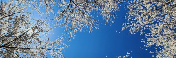 epradhan Profile Banner