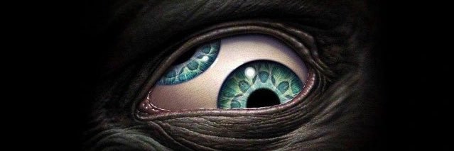 ziegot's profile banner image